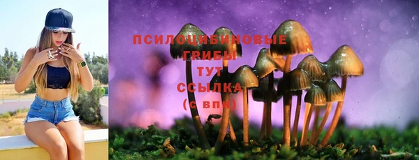 кокаин Белокуриха