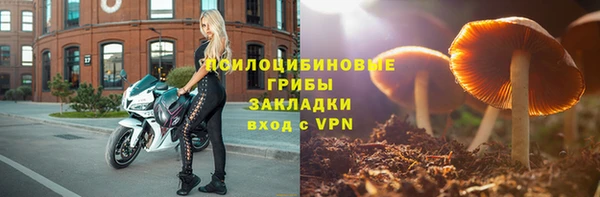 Альфа ПВП Няндома