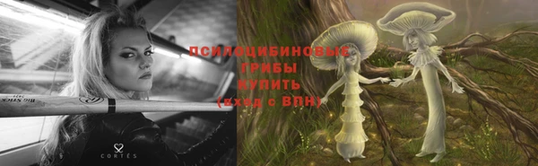 кокаин Белокуриха