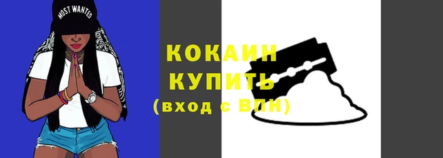 кокаин Белокуриха