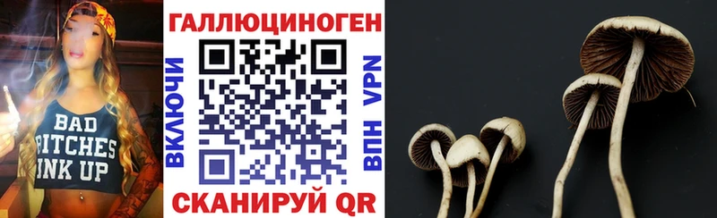купить наркоту  Яровое  Галлюциногенные грибы Cubensis 